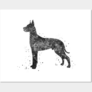 great dane dog black and white Posters and Art